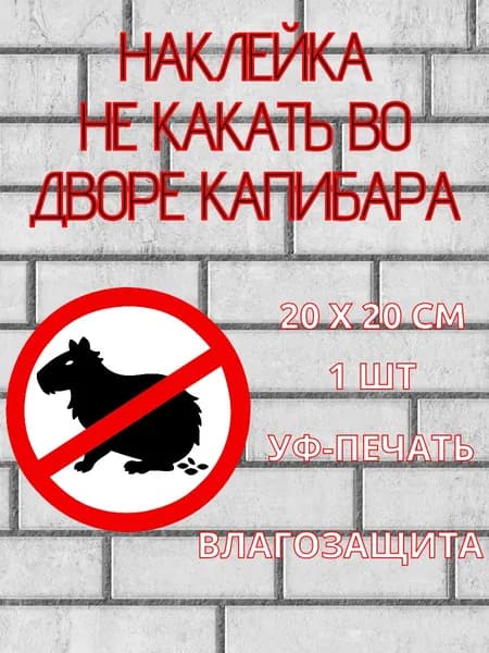 Наклейка не какать во дворе / выгул собак запрещен / версия капибара