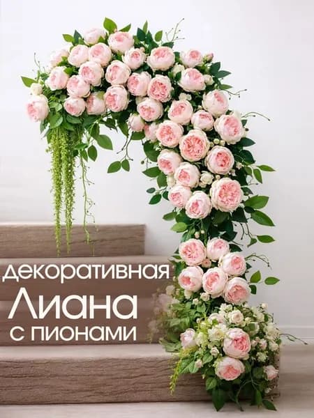 Ампельные пионы 120 см + в подарок лоза