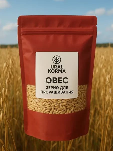 Овес для заваривания,настоя и проращивания 800гр