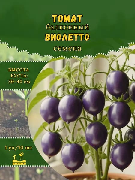 Томат "Виолетто" семена, 1 пачка