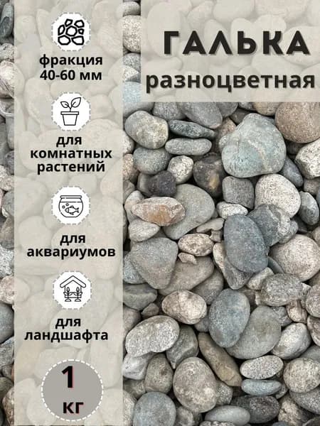 Галька разноцветная(пестрая) 40-60мм (1кг) для сада и огорода и ландшафтного дизайна