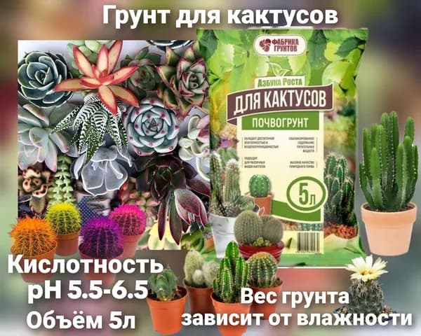Грунт для кактусов 5л Азбука роста