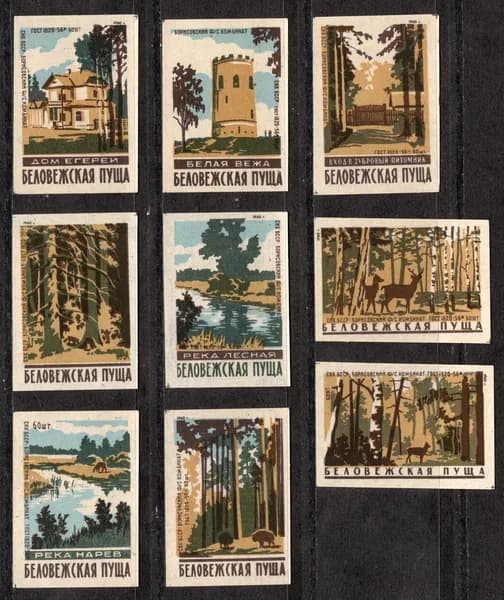 Спичечные этикетки СССР. 1960 год. Заповедник Беловежская пуща. Борисовский комбинат.