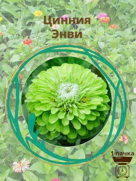 Цинния Энви 10 шт семян