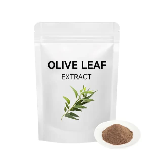 200 г Экстракт оливковых листьев 10:1 (Oleuropein Olive Leaf Standardized Extract)