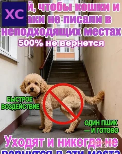 Спрей для коррекции поведения кошек и собак, 100 мл
