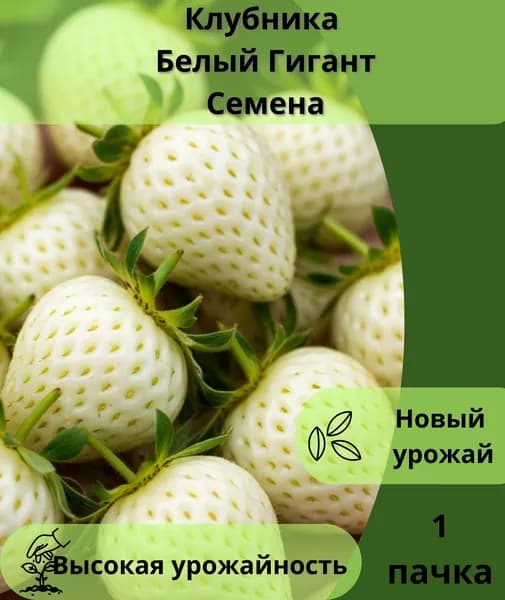 Клубника Белый Гигант, семена 10шт