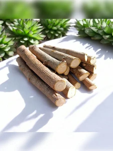 Палочки тутовника, лакомства для грызунов и птиц