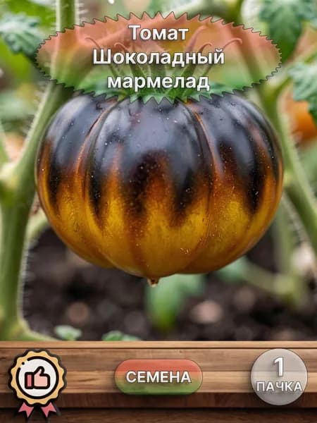 Коллекционные семена Томат Шоколадный мармелад, 1 пачка