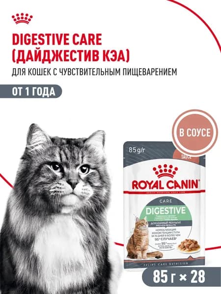 Влажный корм для кошек Royal Canin Digestive Care с чувствительным пищеварением, кусочки в соусе, 85 г