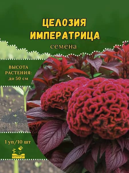 Целозия "Императрица" семена, 1 пачка
