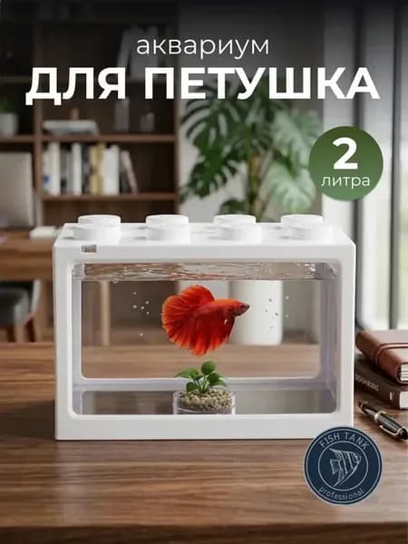 Аквариум для петушка