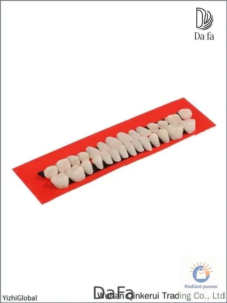 DaFa-Модель искусственных зубов, 28 шт