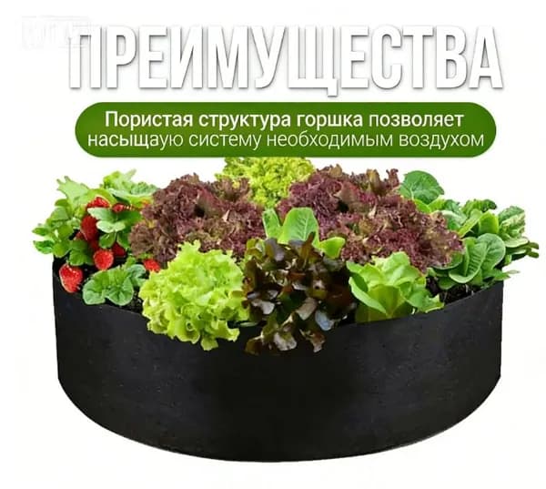 Грунт 1 шт