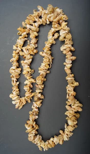 Винтажный бусы "Мариана".Ракушки, 1990-2000 (длина 70 см)