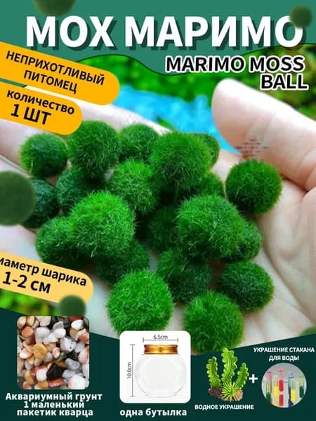 Маримо Кладофора