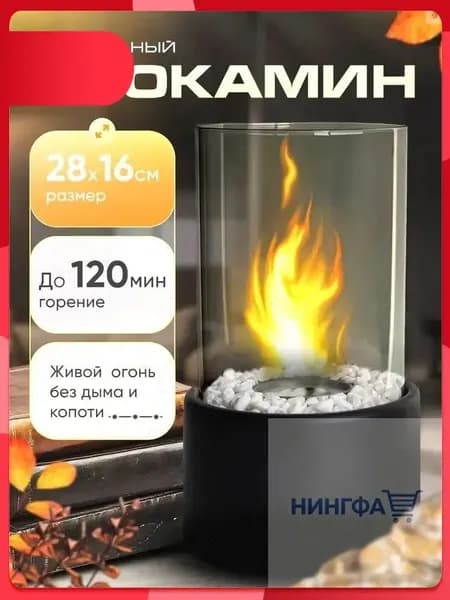 Биокамин Настольная установка