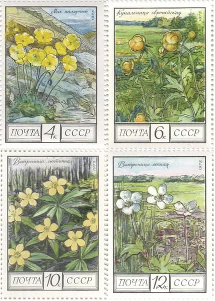 Почтовая марка 1975 СССР №4530-33, Флора - Марка, MNH