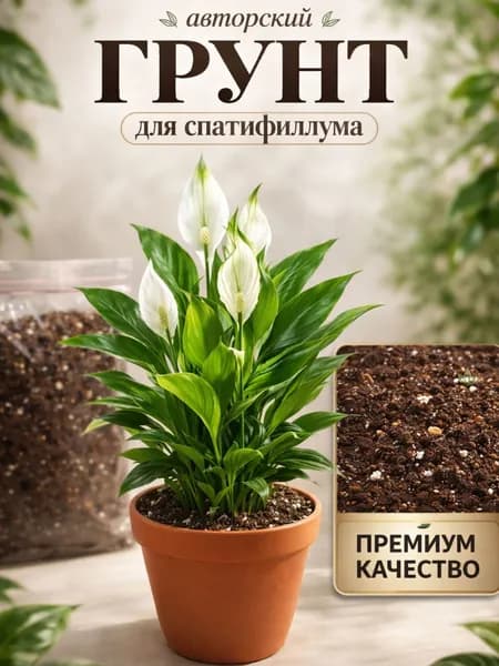 Грунт для Спатифиллума + ОСМОКОТ 6-8 мес