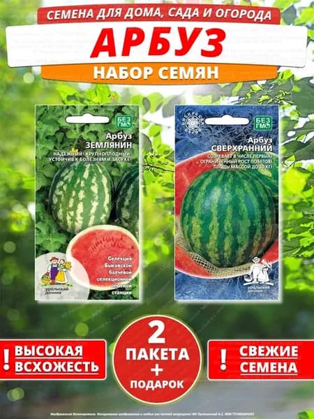 Семена арбуз для дома сада посадки