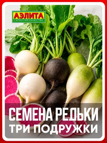 Семена редька "Три подружки", смесь, 1 г, однолетние цветы, для дачи, сада и огорода, клумбы, в открытый грунт