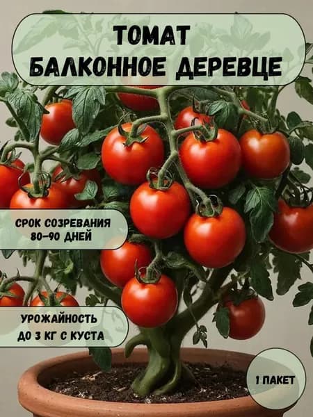Томат Балконное деревце, семена 10 шт