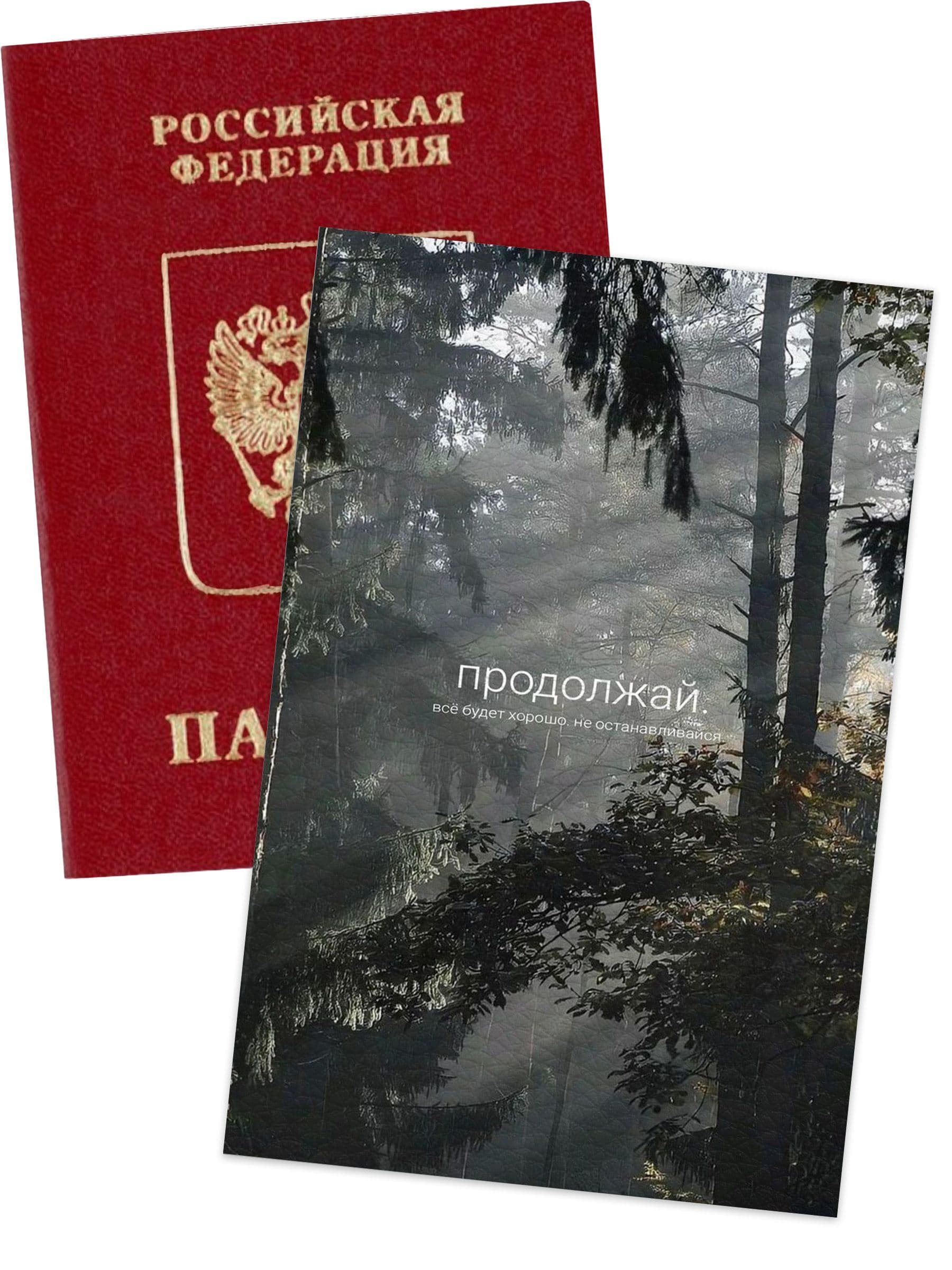 Чехол на паспорт цитатами