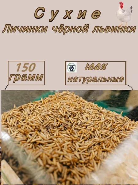Сухие полезные личинки чёрной львинки