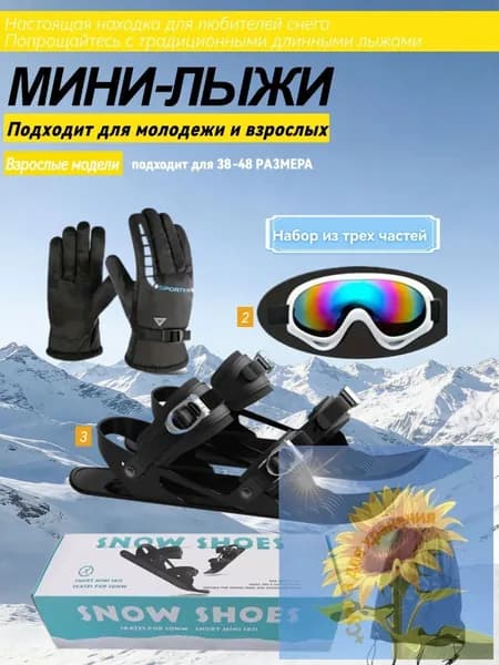 Прогулочные мини-лыжи
