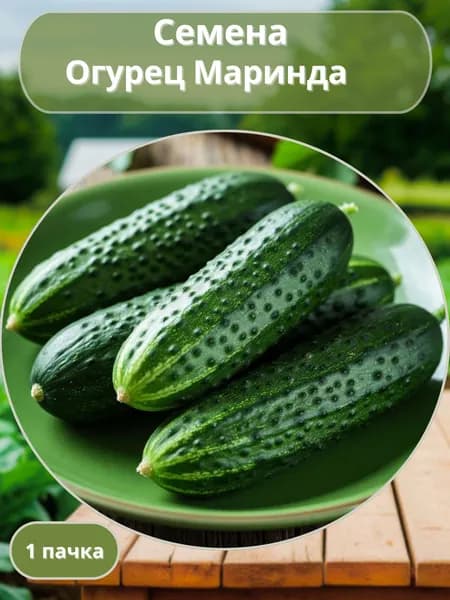 Огурец Маринда, семена 10 шт