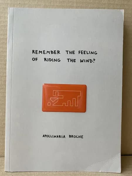 Remember the feeling of rinding the wind?