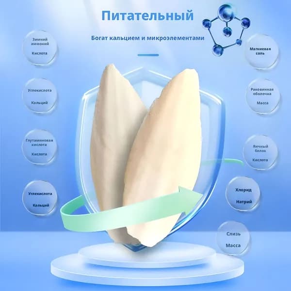 Сепия панцирь каракатицы для птиц, улиток, черепах, грызунов 2 штуки 10 см БЕЗ держателя