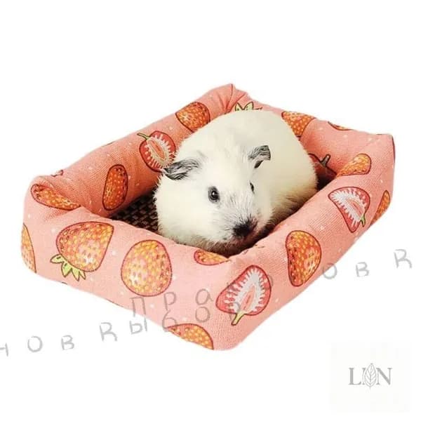 Домик для животных