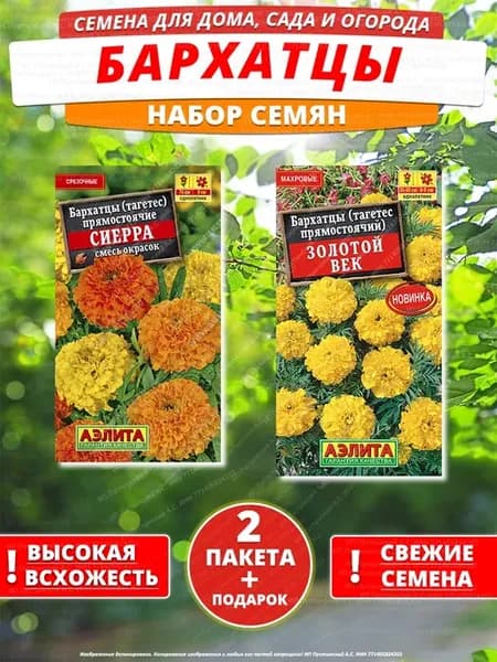 Семена бархатцы для дома сада посадки