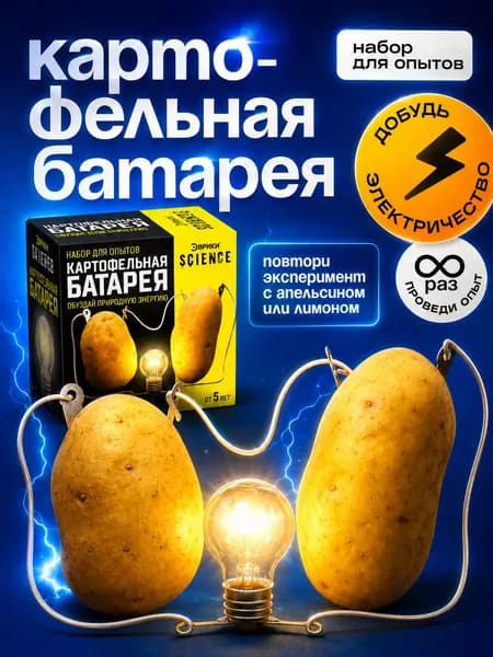 Набор для опытов "Картофельная батарейка", опыты для детей