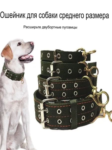 Ошейник для собак из нейлона 3*53cm