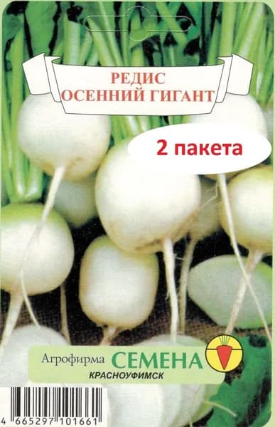 Редис осенний гигант 1 гр / 2 пакета - неприхотливый, для открытого грунта, для теплиц, балконов, контейнеров, скороспелый, поздний, холодостойкий, отлично хранится