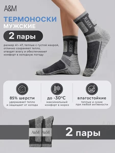 Носки мужские Зимние, 2 пары