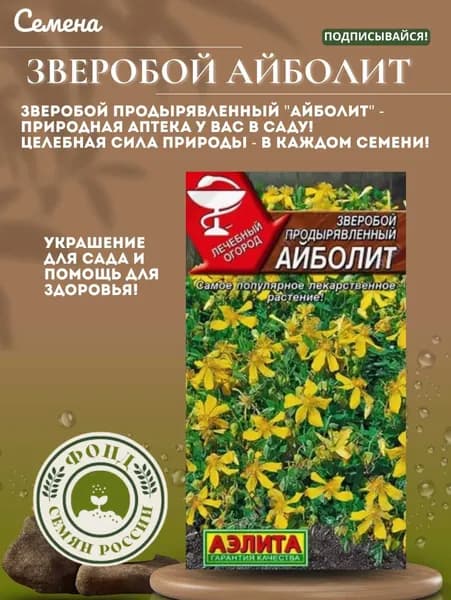 Семена Зверобой Продырявленный, Айболит, 0,1 грамма