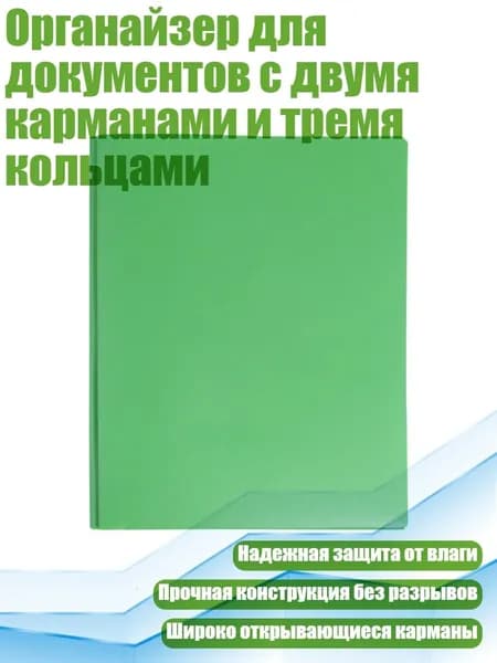 Папка, 1 шт.