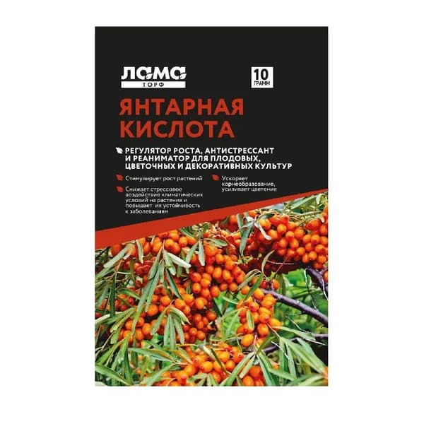 Янтарная кислота 10 г