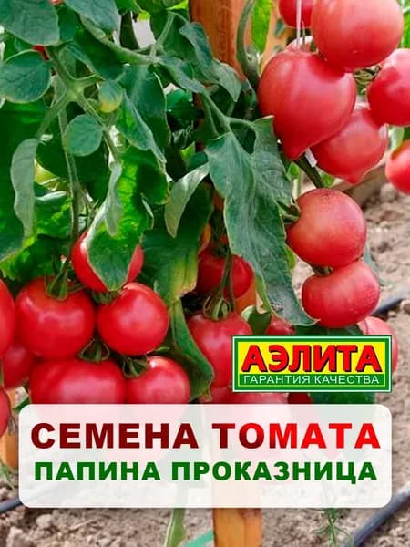 Семена томат "Папина проказница", 20 шт, для дома, дачи и огорода, томат из семян, для теплицы и открытого грунта