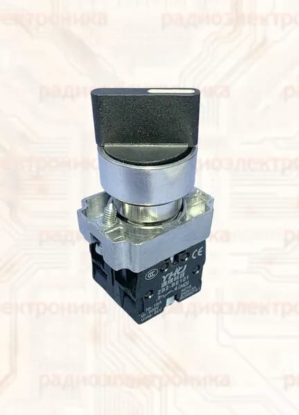 Переключатель XB2-BD55