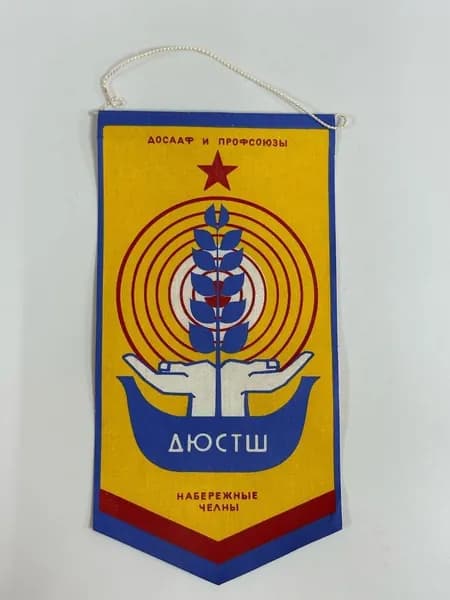 Вымпел ДОСААФ и ПРОФСОЮЗЫ Дюстш г.Набережные Челны!