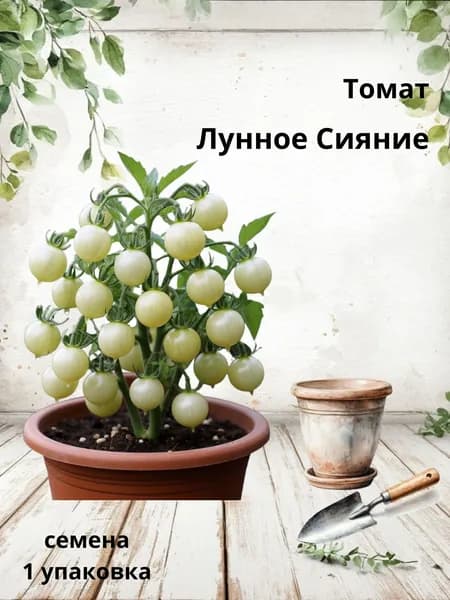 Томат Лунное Сияние, семена, 10 шт