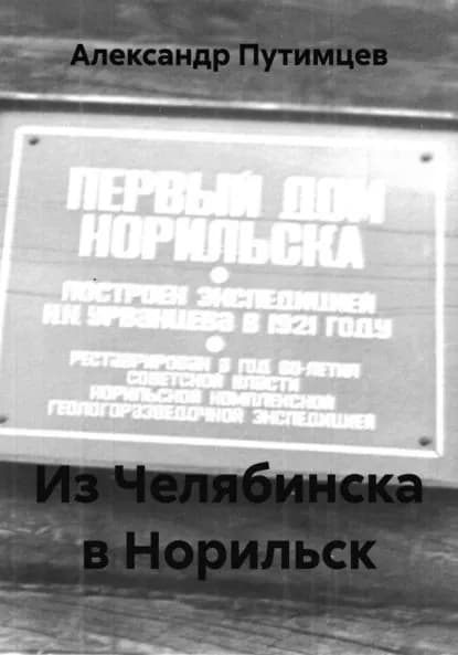 Из Челябинска в Норильск | Путимцев Александр | Электронная книга