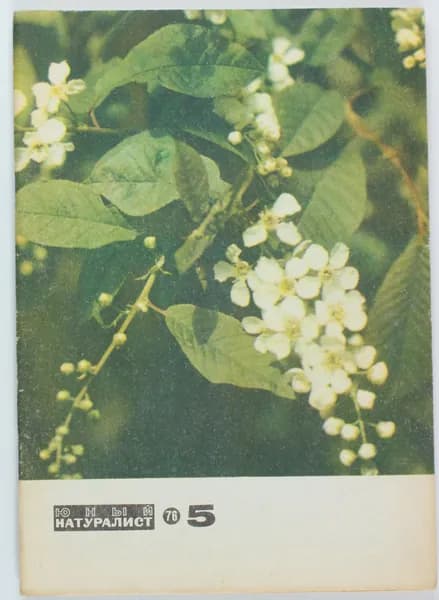 Винтажный журнал СССР Юный Натуралист, 1976 год