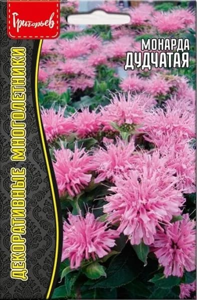 Монарда (бергамот, пчелиный бальзам) Дудчатая, семена цветов для сада, 0,1 г. Длительное и обильное цветение!