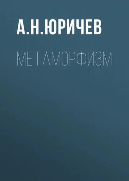 Метаморфизм | Юричев Алексей Николаевич | Электронная книга
