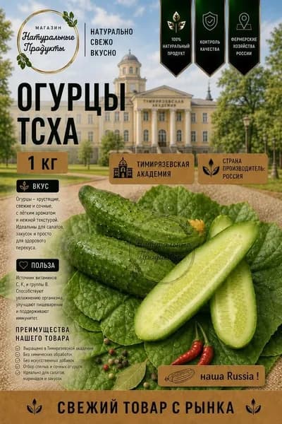 Огурцы ТСХА свежие, 1кг, Россия тепличные, хрустящие, для салатов